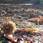 Frühstückspension Alpuntogiusto Peveragno