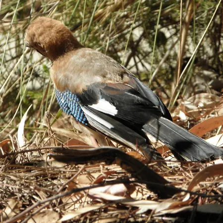 Panzió Alpuntogiusto Peveragno