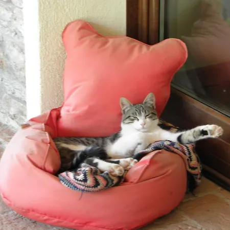 Alpuntogiusto Peveragno