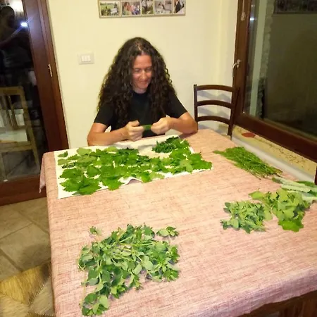 Panzió Alpuntogiusto