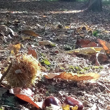 Nocleg ze śniadaniem Alpuntogiusto Peveragno