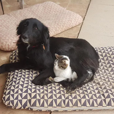 Alpuntogiusto Bed & Breakfast *