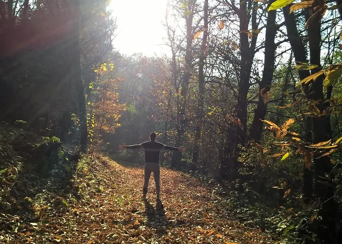 לינה וארוחת בוקר Alpuntogiusto Peveragno