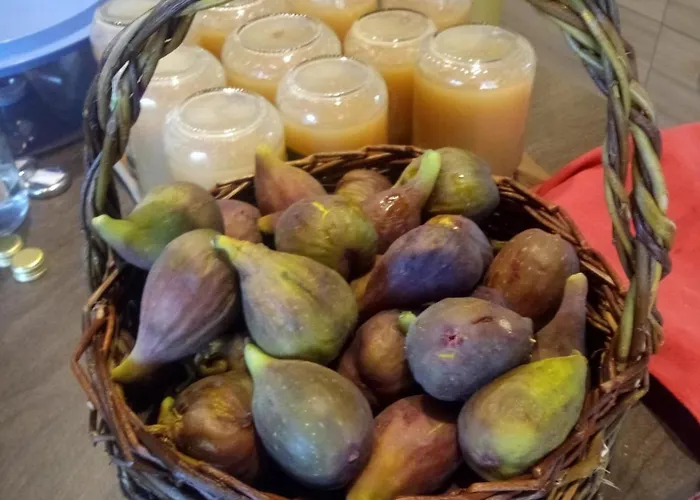 Alpuntogiusto 住宿加早餐酒店 Peveragno